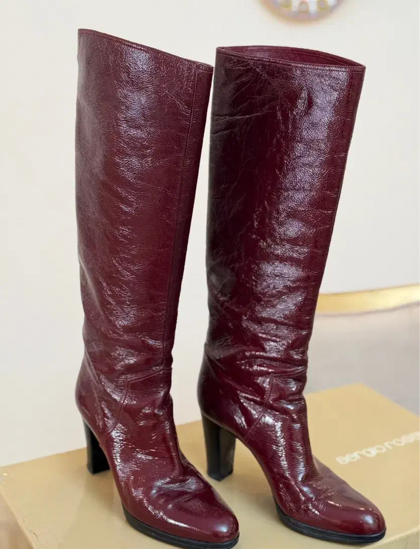 بوت|کیف، کفش، کمربند|کرج, کوی زنبق|دیوار