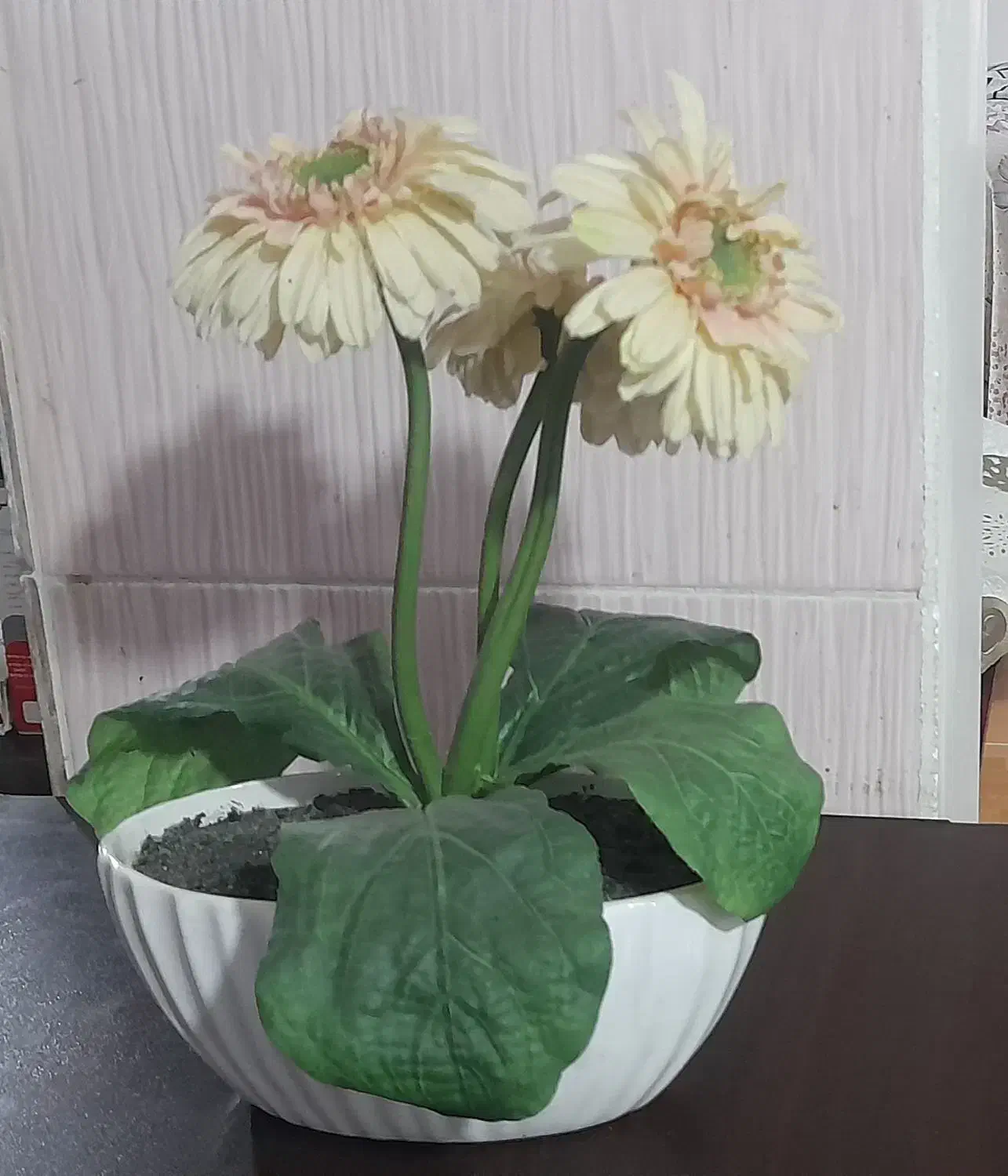 گلدان سرامیک  با گل مصنوعی  مخصوص  روز مادر|گل مصنوعی|بابلسر, |دیوار