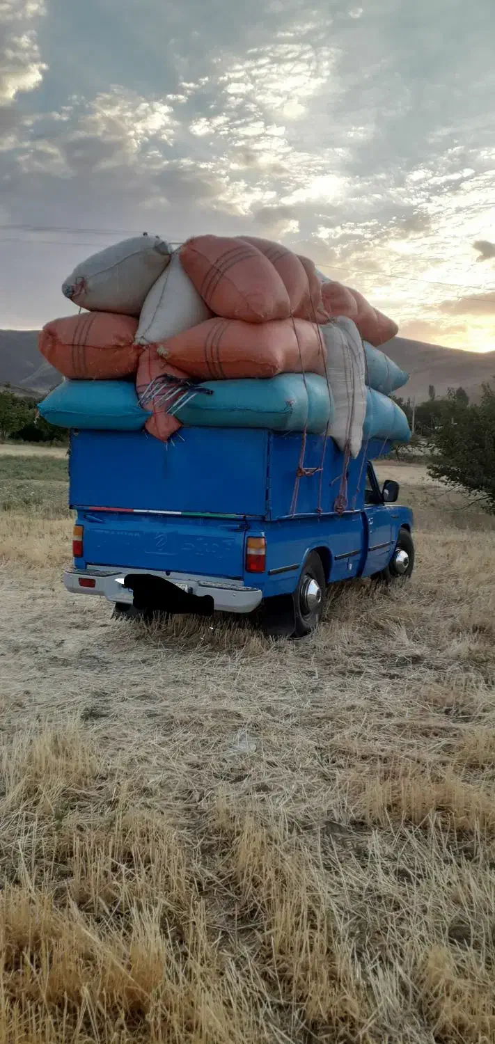 کاه گندم دیم|لوازم جانبی حیوانات|اسدآباد, |دیوار