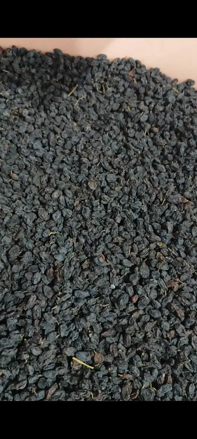 مویز درجه یک درشت بدون هسته امساله|خوردنی و آشامیدنی|نقده, |دیوار