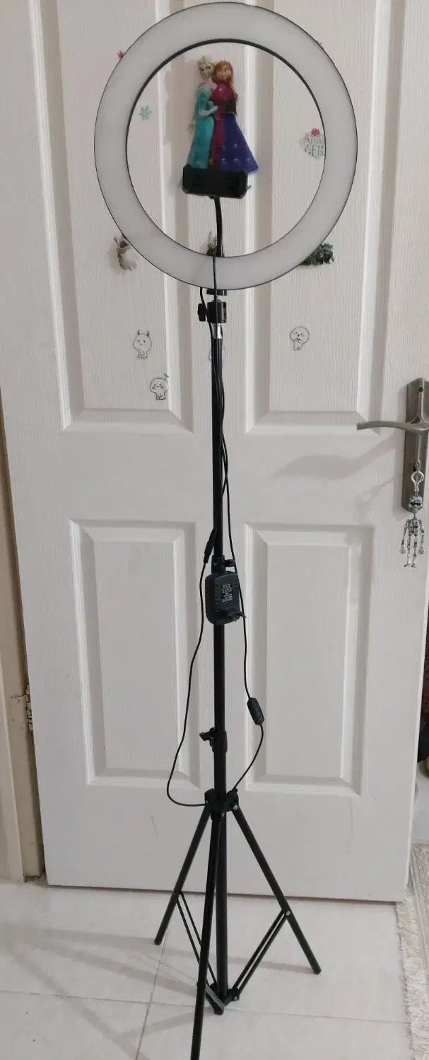 رینگ لایت|آرایشگاه و سالن‌های زیبایی|کنارک, |دیوار