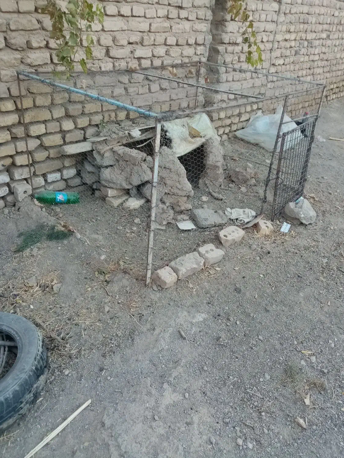 طورفروشی بامشتری واقعی کنارمیام|لوازم جانبی حیوانات|تربت جام, جامرود|دیوار