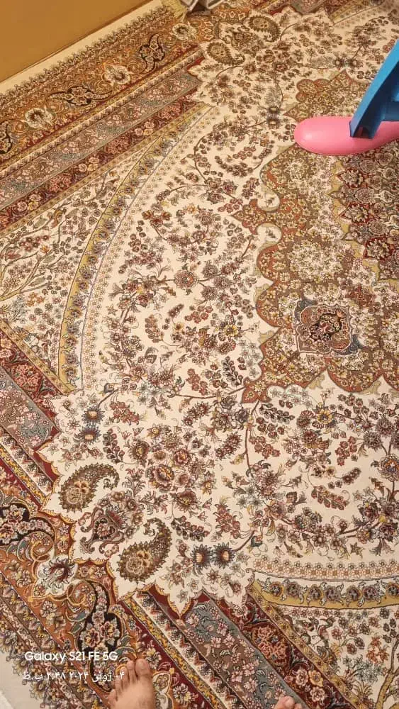 فرش۱۲ متری|فرش|زاهدان, |دیوار