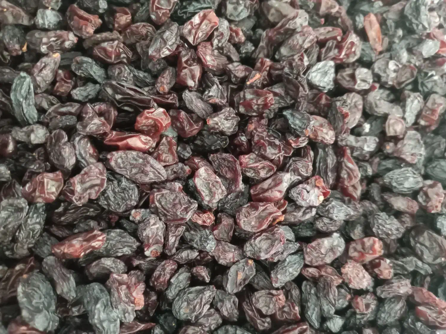 کشمش انگور|خوردنی و آشامیدنی|ایوان, |دیوار