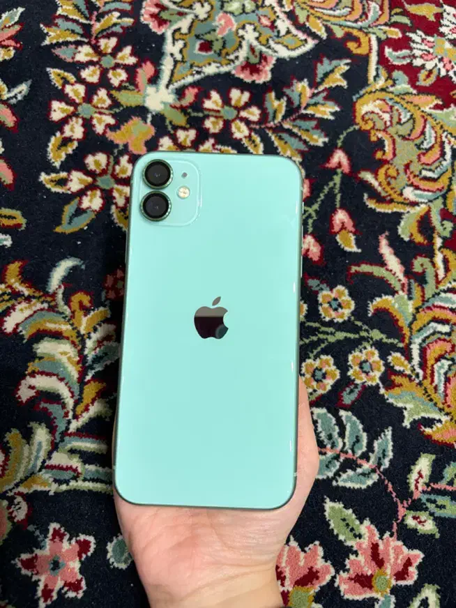 iPhone 11 normal|موبایل|تهران, باغ فیض|دیوار