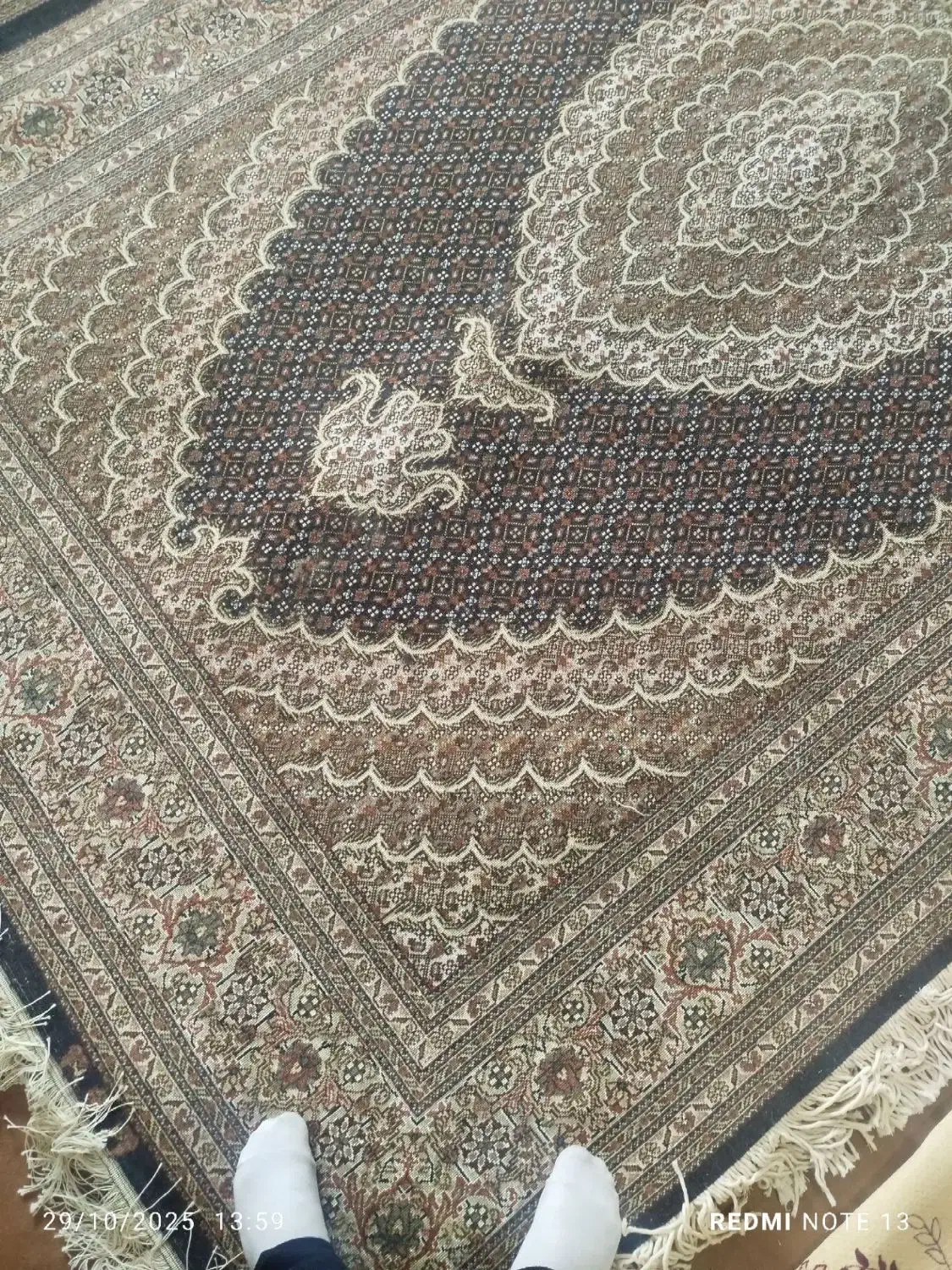 متن فرش میبینمی تمام گلهاش ابریشم هس|فرش|اردبیل, |دیوار