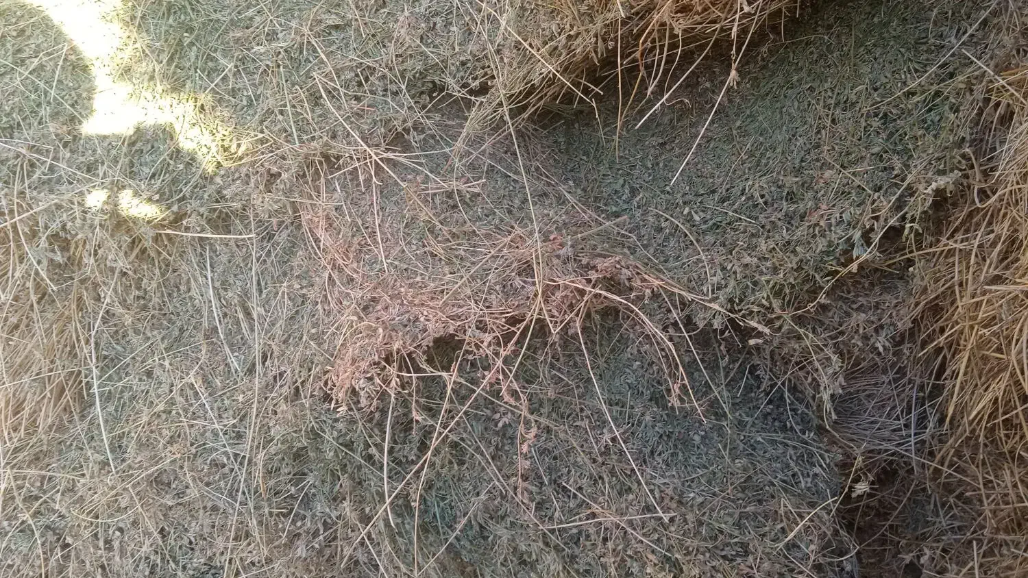 فروش یونجه|لوازم جانبی حیوانات|هریس, |دیوار