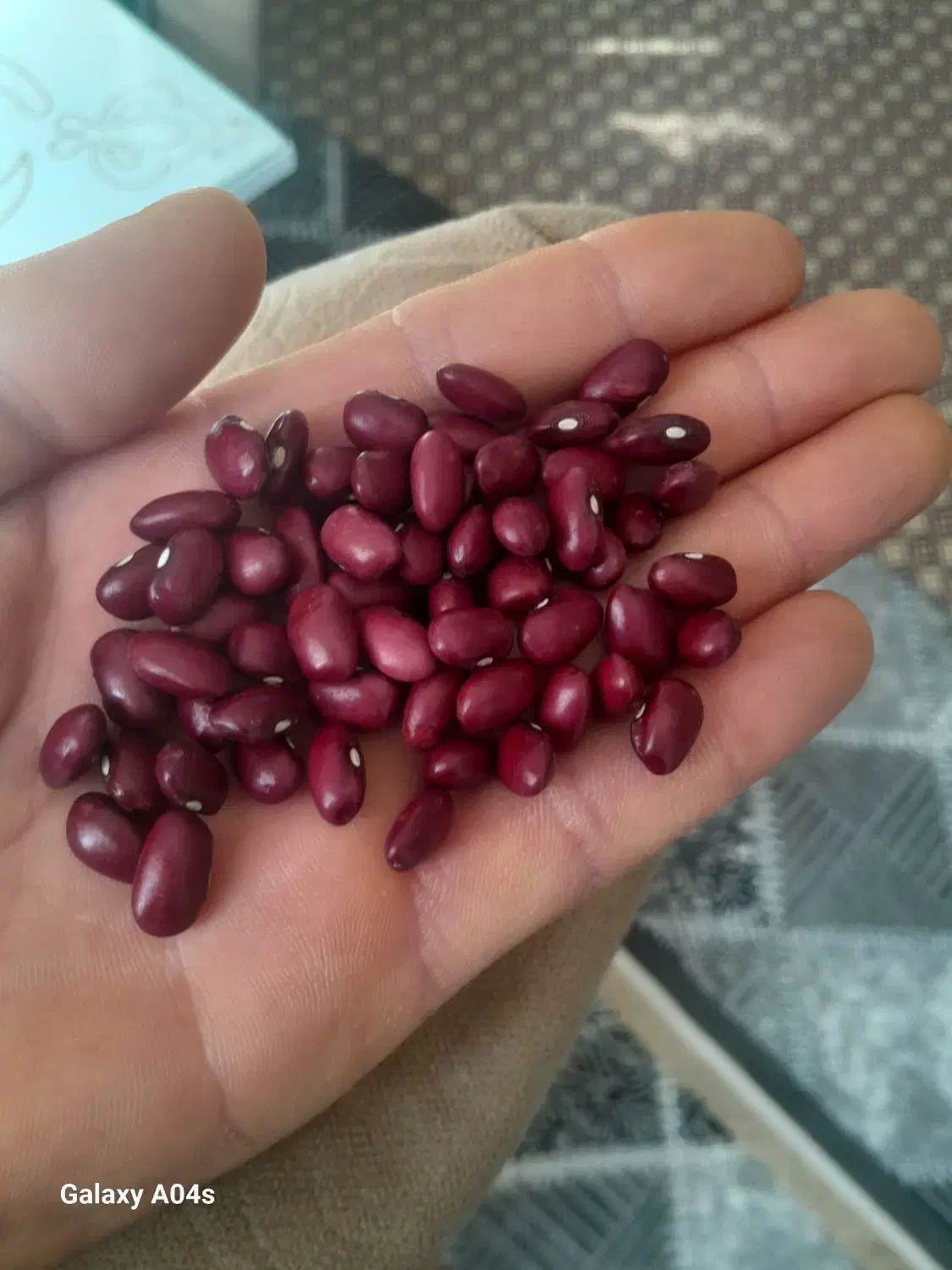 لوبیا|خوردنی و آشامیدنی|باغ حلی, |دیوار