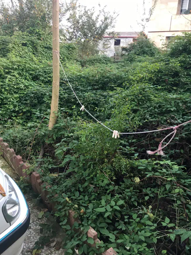 زمین مسکونی در لوندویل|فروش زمین و ملک کلنگی|لوندویل, |دیوار