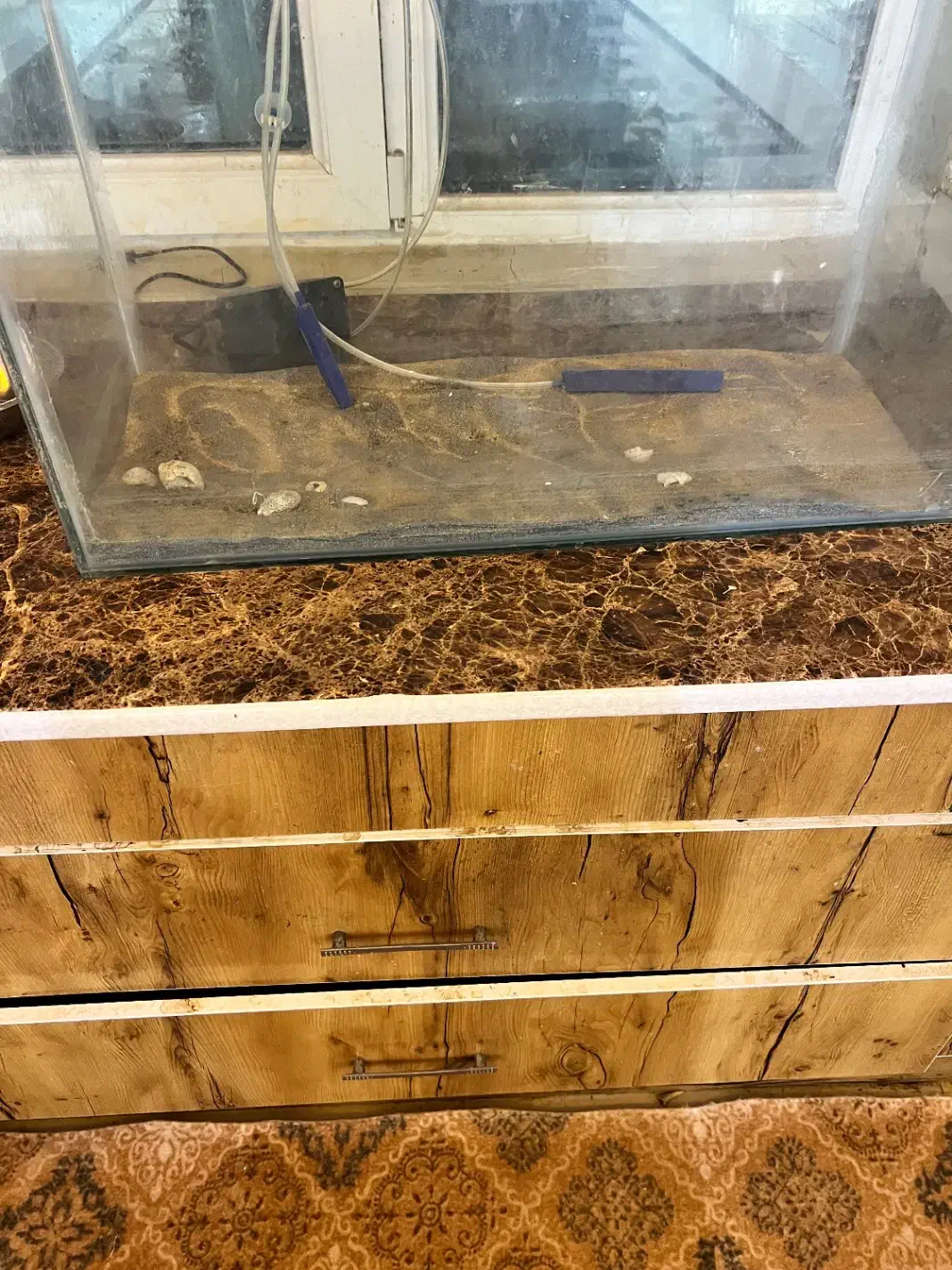 آکواریوم بزرگ|ماهی|چابهار, |دیوار