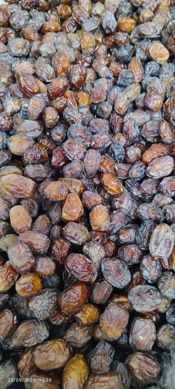 خرما تازه و مرغوب/مستقیم از نخلستان|خوردنی و آشامیدنی|شیراز, ریاستی|دیوار