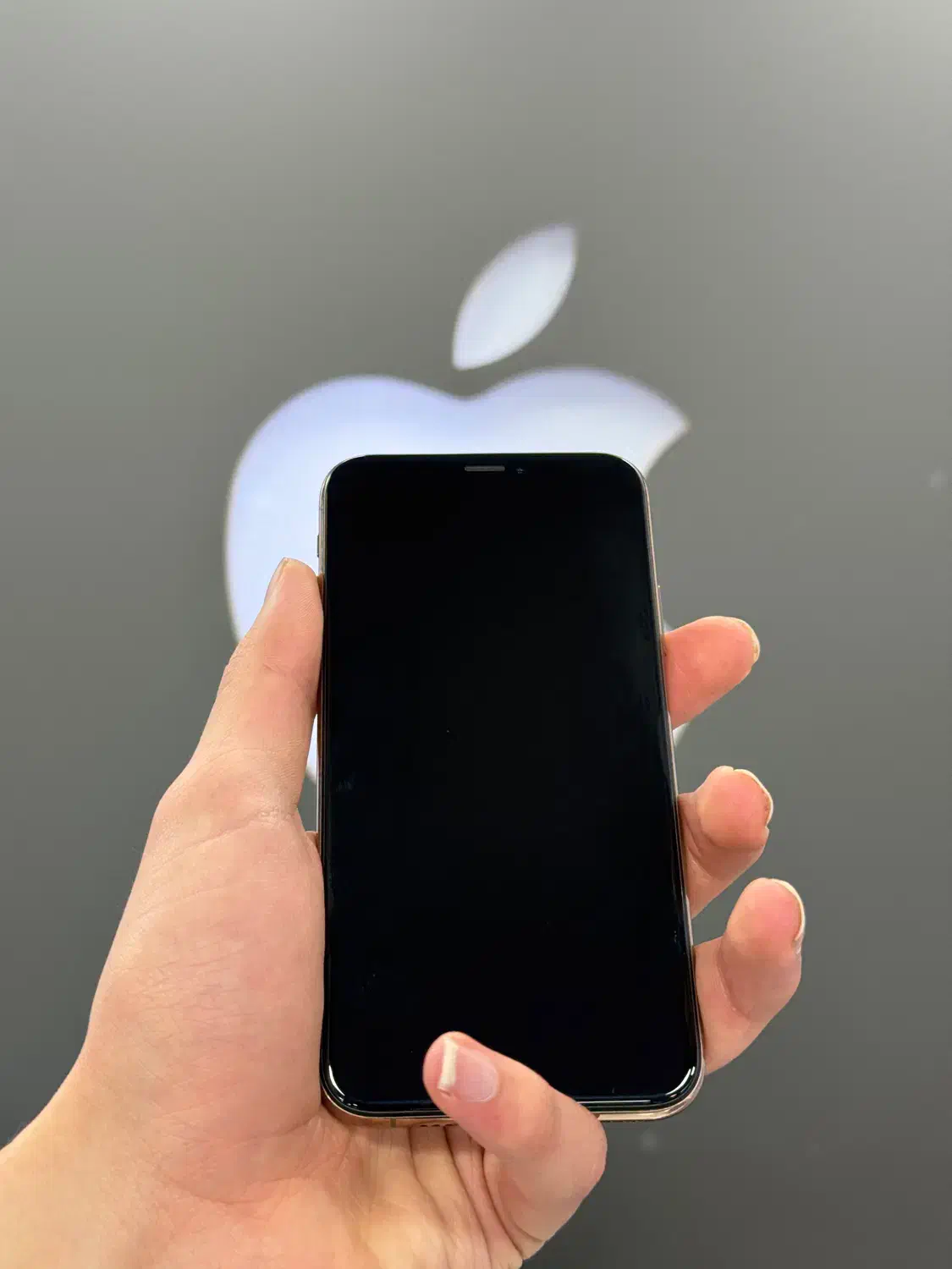 iPhone XS 256g LLA|موبایل|تبریز, |دیوار