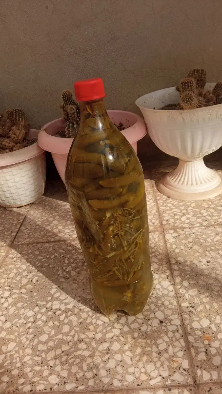 خیارشور|خوردنی و آشامیدنی|طرقبه, |دیوار