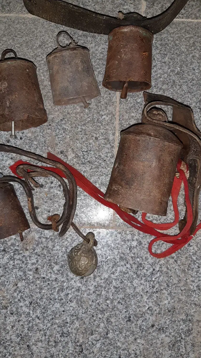 زنگوله|لوازم جانبی حیوانات|سبزوار, جهاد کشاورزی|دیوار