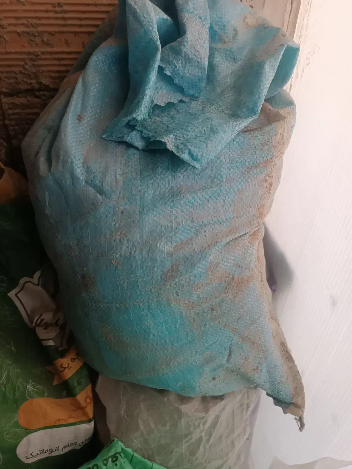 فضله وبارکبوتر|خدمات باغبانی و درختکاری|نیشابور, خط کاشمر|دیوار