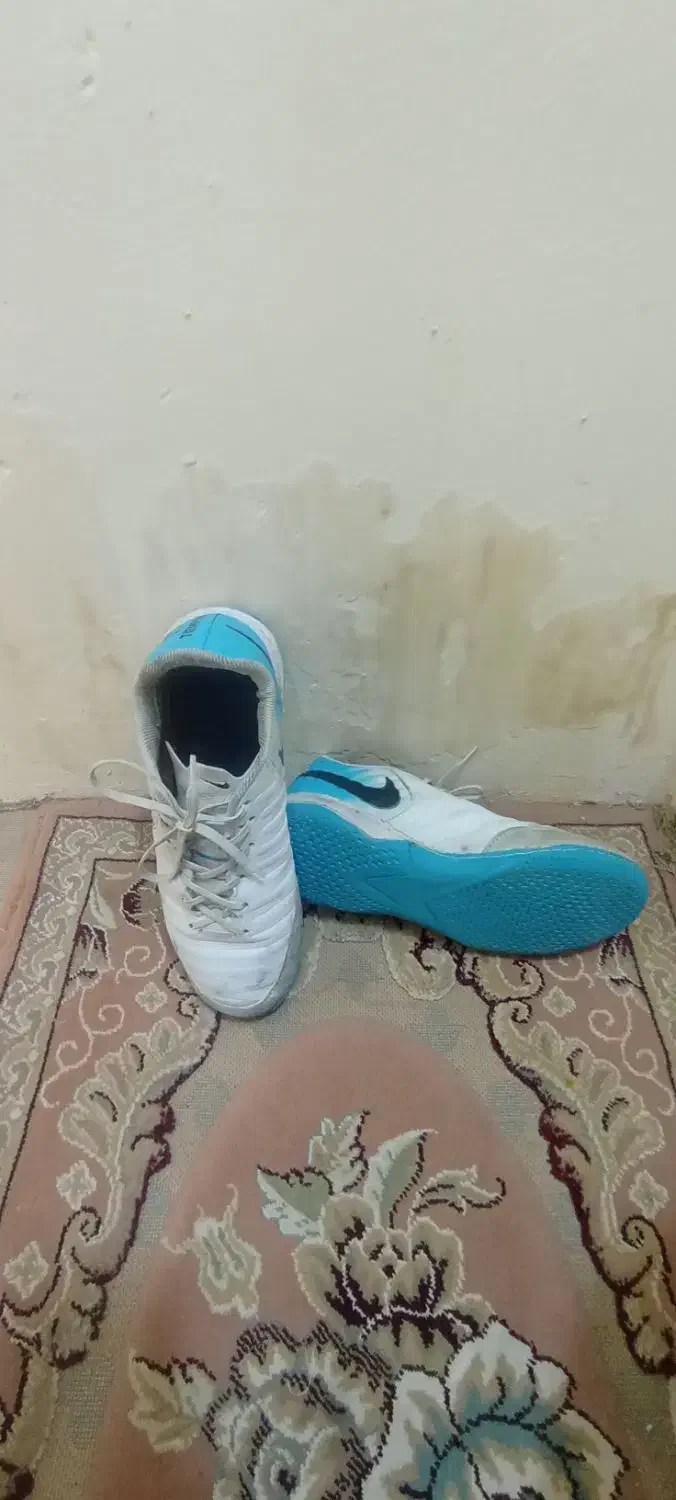 کتونی فوتسال تمپو ایکس|کیف، کفش، کمربند|قم, صدوق|دیوار