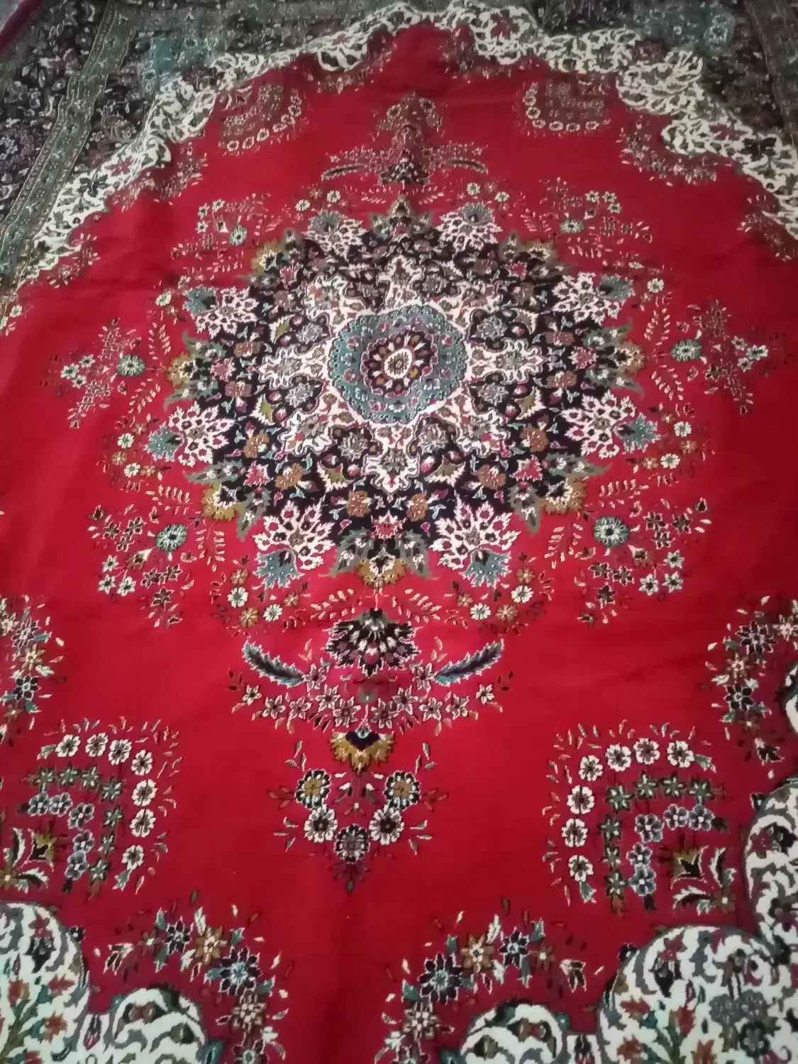 قالی|فرش|شیروان (خراسان), |دیوار