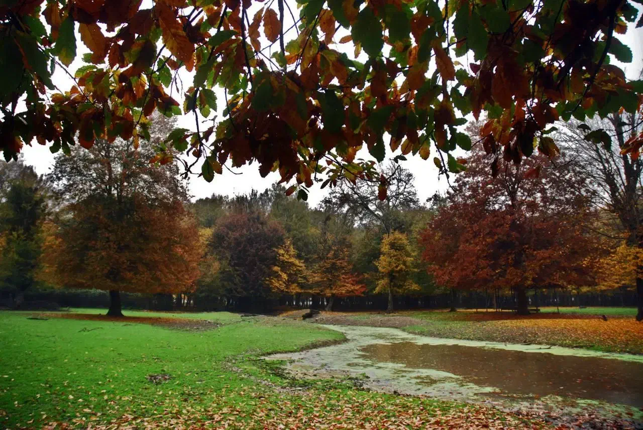 مدارک گم شده.|اشیا|سنگدوین, |دیوار