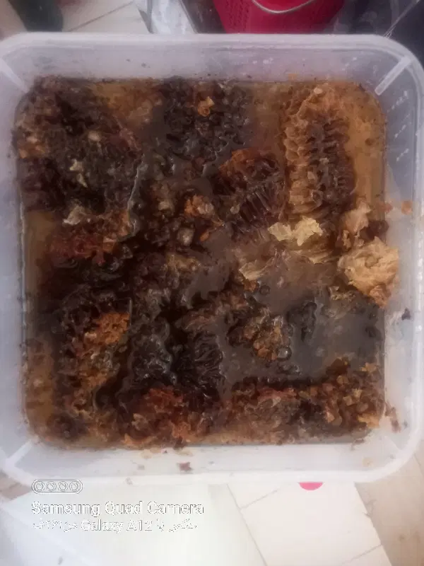 عسل|خوردنی و آشامیدنی|ناغان, |دیوار