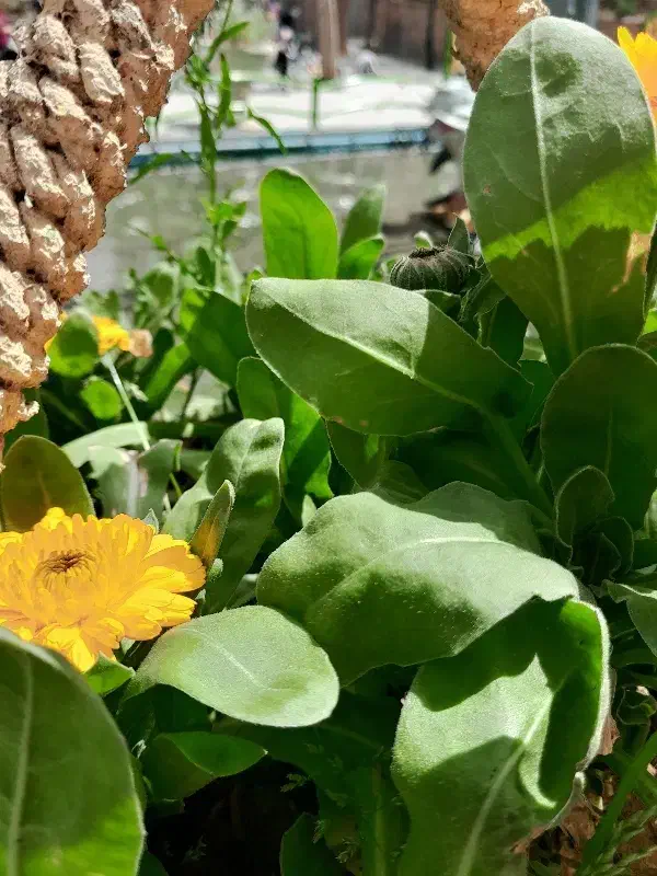 راهنمایی میخوام|فعالیت داوطلبانه|داران, |دیوار