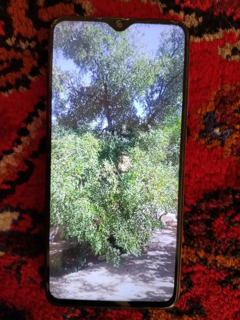 شیائومی نوت ۸ پرو ۱۲۸ گیگ|موبایل|تهران, بروجردی|دیوار