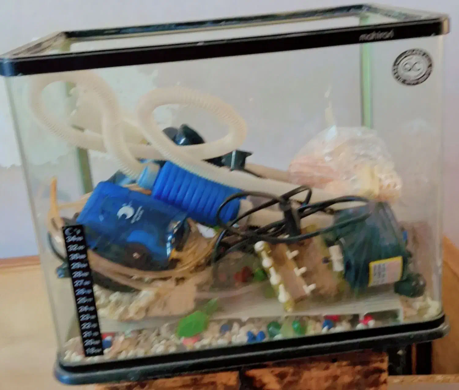 آکواریوم شیشه خم با کلیه تجهیزات|ماهی|گرمسار, |دیوار