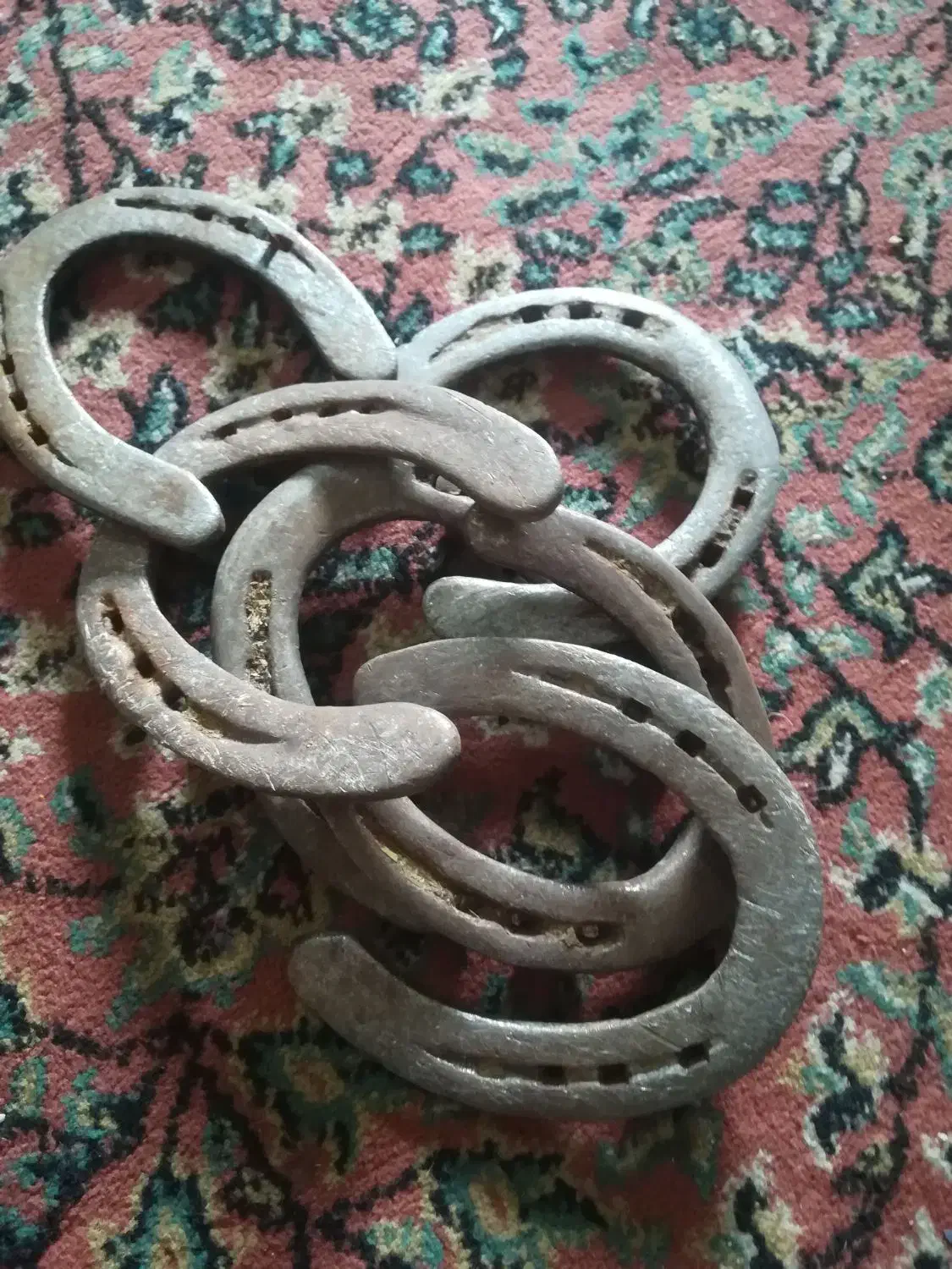 نعل کار کرده خورموج|اسب و تجهیزات اسبسواری|بوشهر, |دیوار