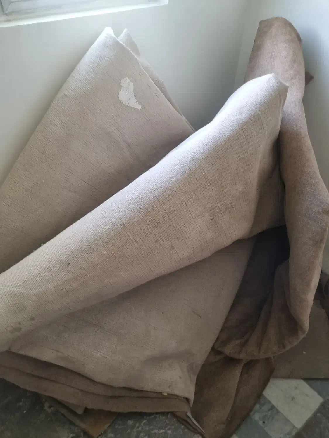 موکت کبریتی|موکت|تبریز, |دیوار