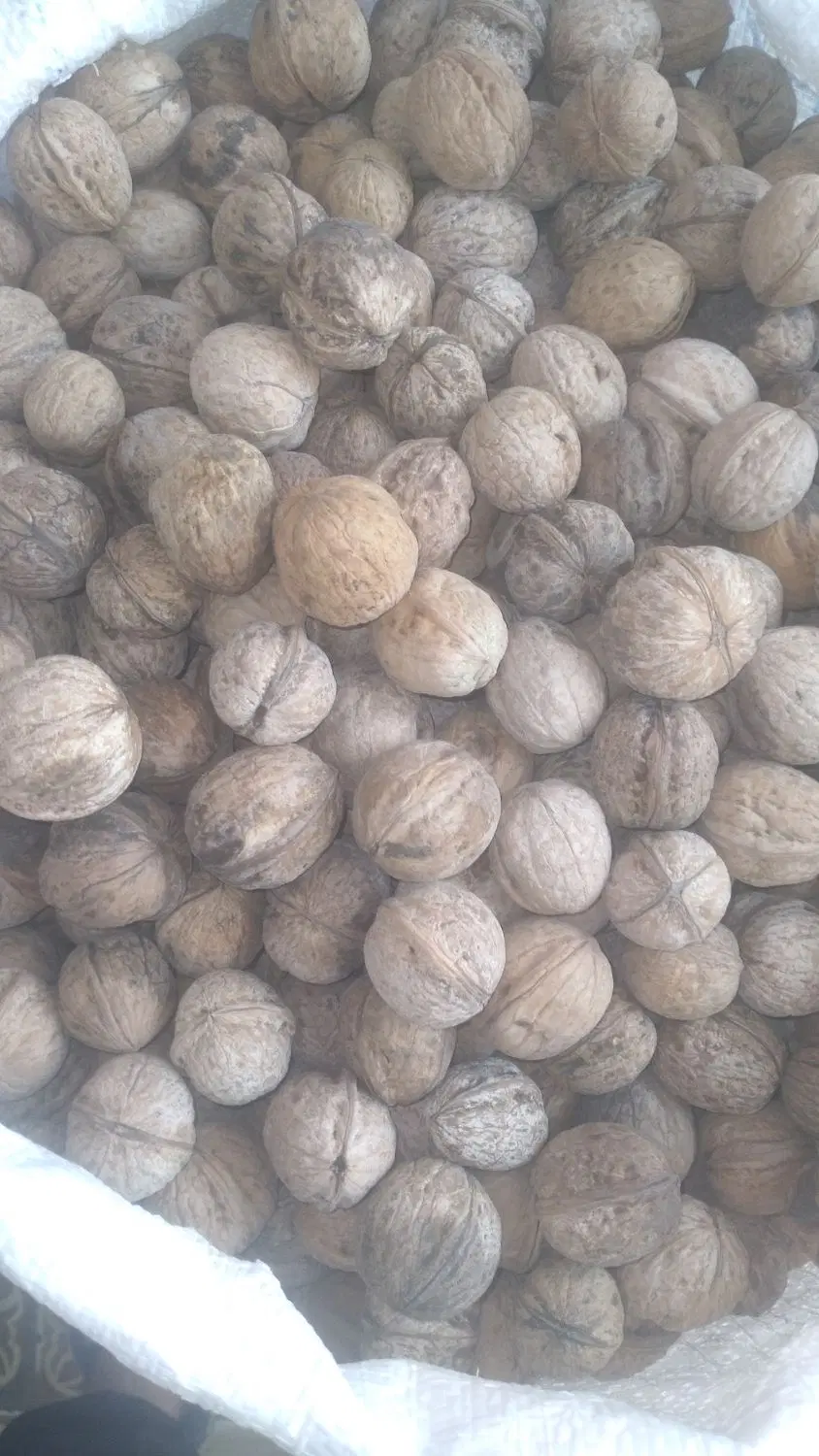 گردو|خوردنی و آشامیدنی|نهاوند, |دیوار