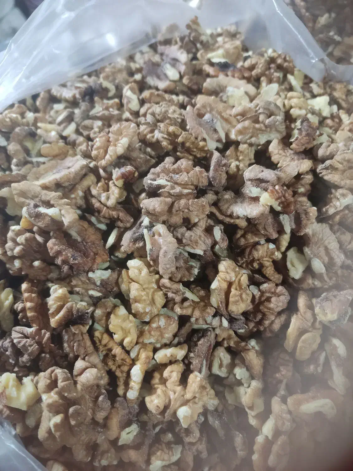 مغز گردوی متوسط|خوردنی و آشامیدنی|پاوه, |دیوار