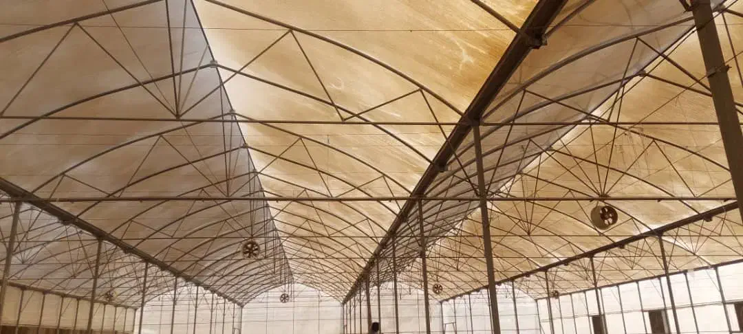 فروش سازه دسته دوم گلخانه گاتیک طرح اسپانیایی|فروش دفتر صنعتی، کشاورزی، تجاری|رامهرمز, |دیوار