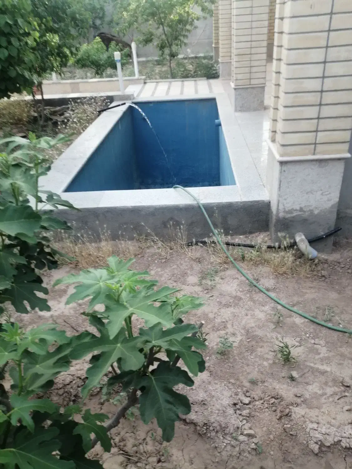 سوئیت اجاره ای در محی آباد|اجارهٔ خانه و ویلا|ماهان, |دیوار