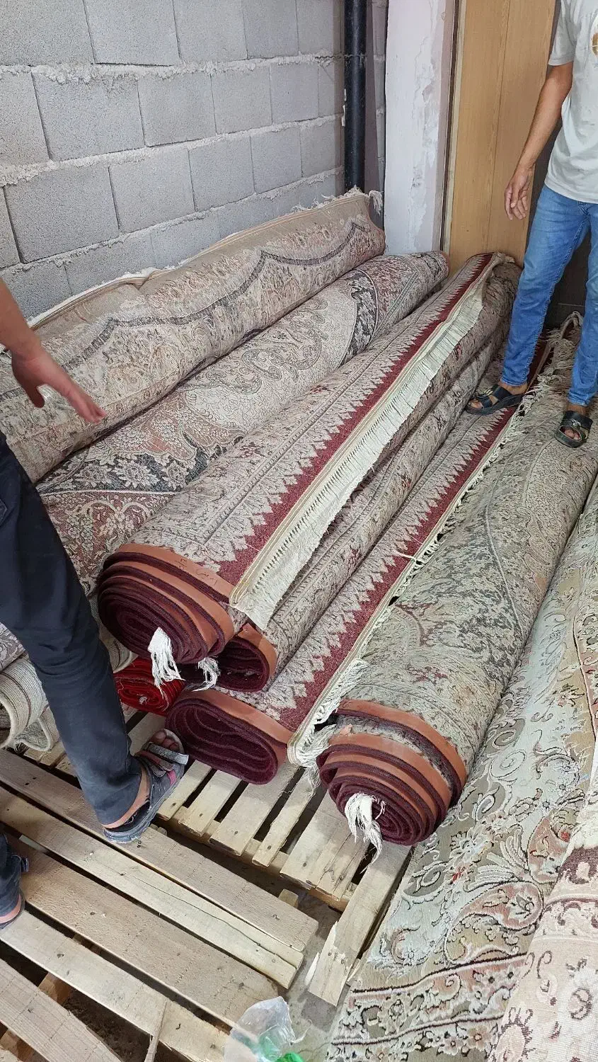 فروش قالی دست دوم سالم سالم|فرش|ایذه, |دیوار