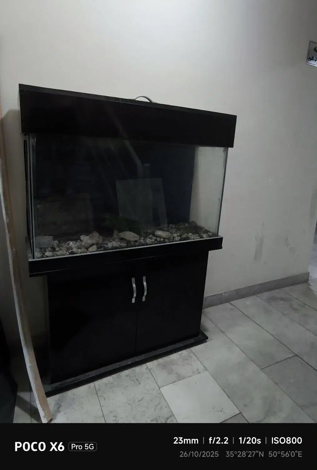 آکواریوم ۱متری|ماهی|پرند, فاز ۵|دیوار