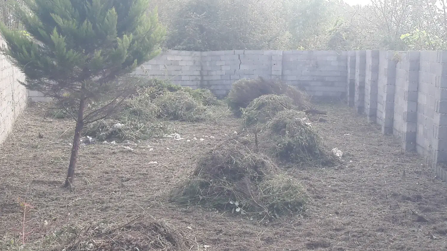 علف زدن|خدمات باغبانی و درختکاری|صومعه‌سرا, |دیوار