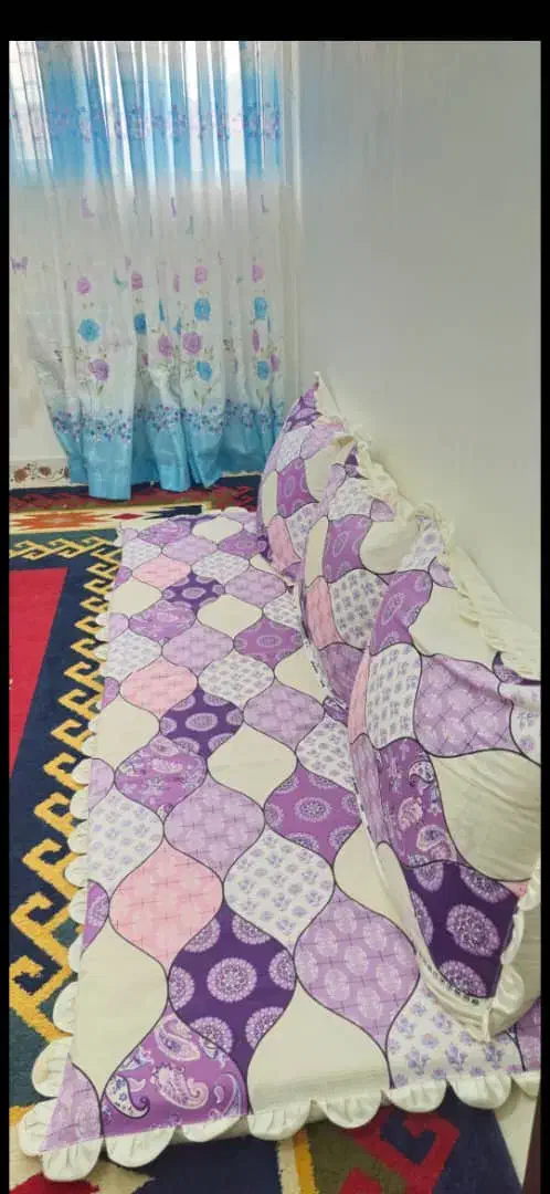 6 تا پشتی ودوتا تشکچه|پشتی|بندرعباس, |دیوار