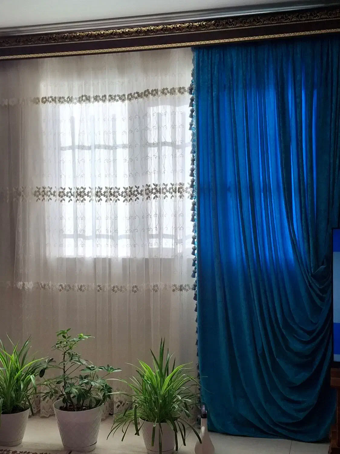 پرده|پرده، رانر، رومیزی|آزادشهر, |دیوار