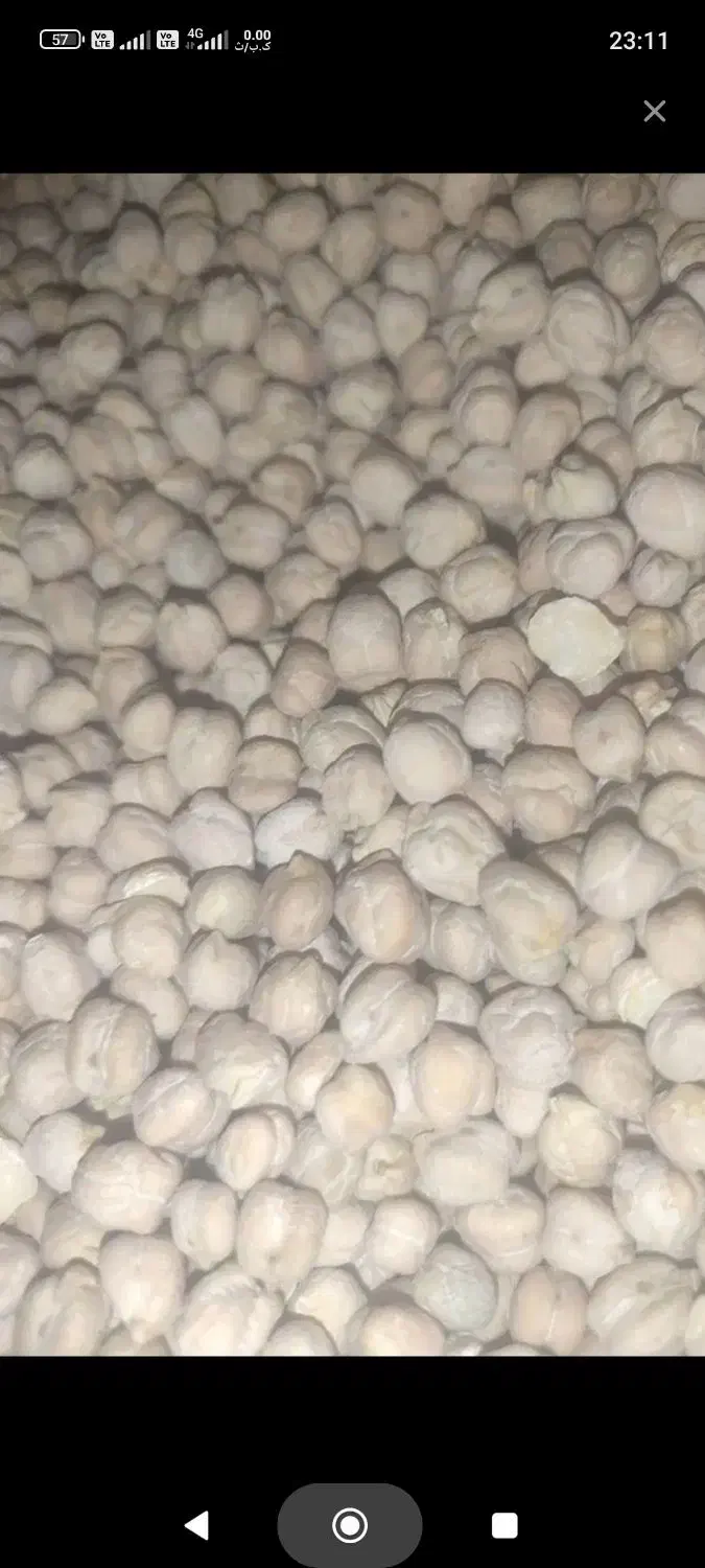 نخودامسال درشت وپزا|خوردنی و آشامیدنی|سیلاخور, |دیوار