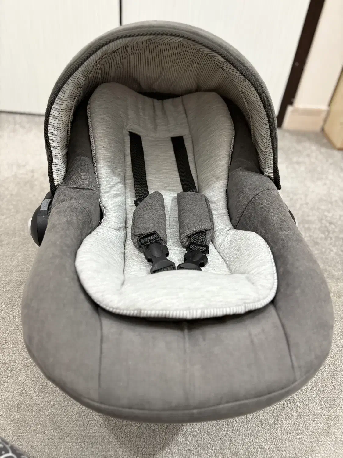 کریر|کالسکه و لوازم جانبی|بوشهر, |دیوار