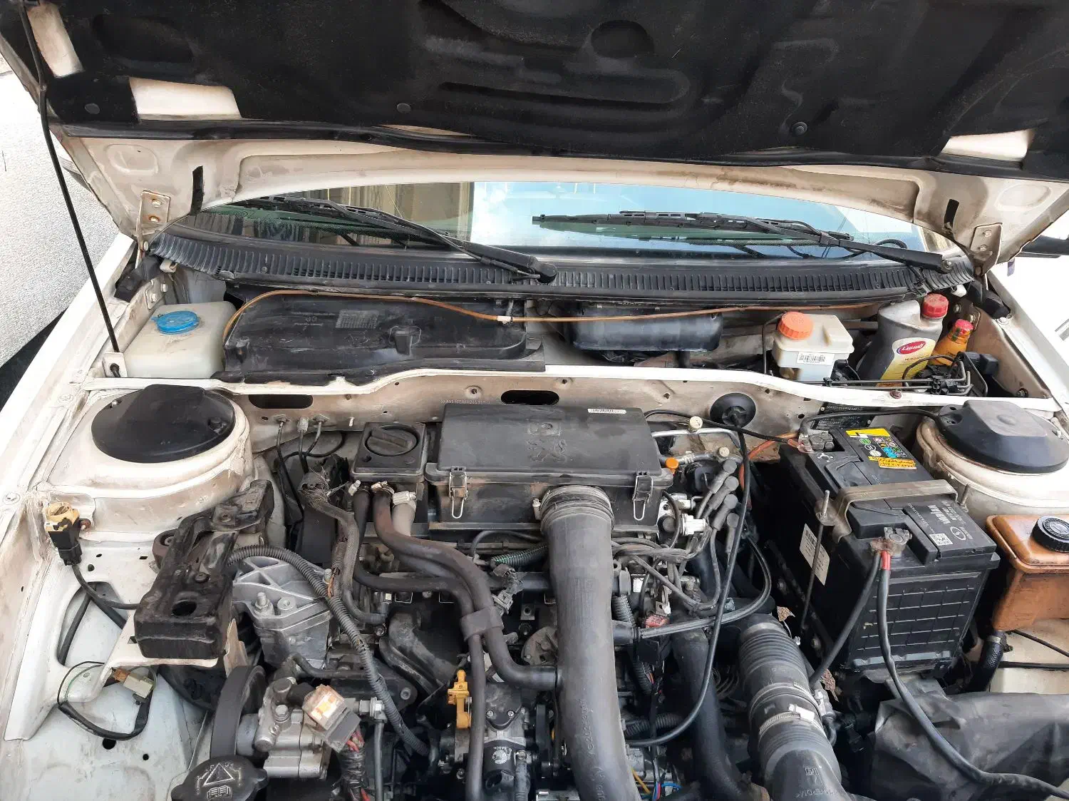 فروش|خودرو سواری و وانت|شیراز, محراب|دیوار