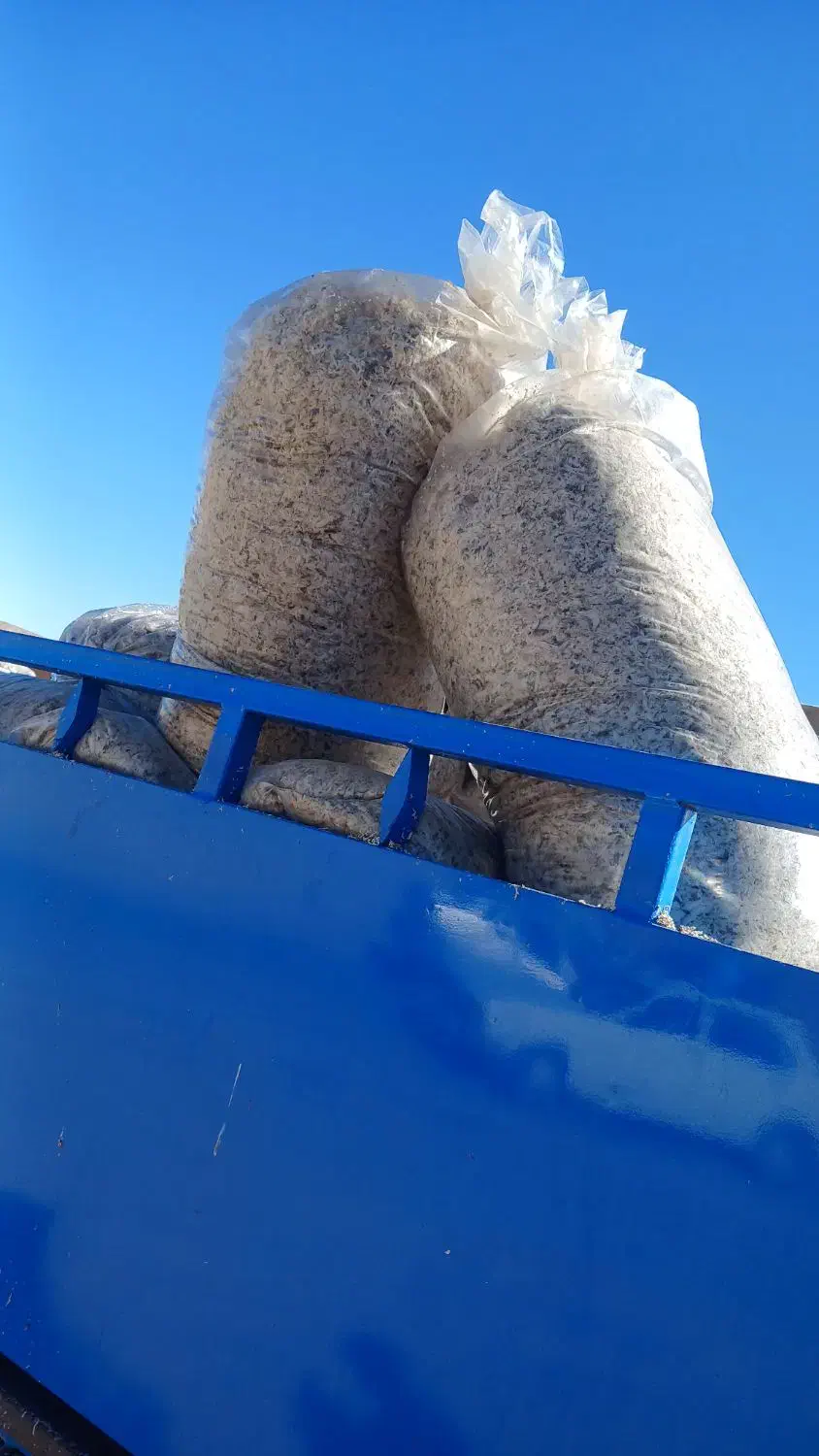 تفاله چغندر میانداب|لوازم جانبی حیوانات|چاراویماق, |دیوار