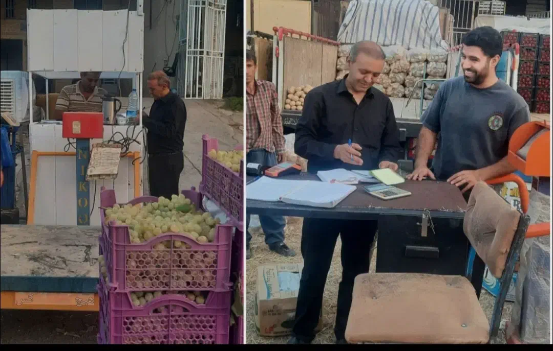 جذب نیرو جهت کار دفتری و اداری در میدان تره بار|استخدام مالی، حسابداری، حقوقی|تربتحیدریه, پائین ولایت|دیوار