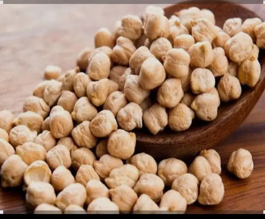 نخود دیم امسال|خوردنی و آشامیدنی|قروه, |دیوار