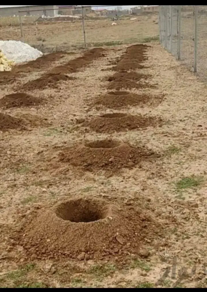 خدمات باغی کلتیواتور وگوده زنی|خدمات باغبانی و درختکاری|ابرکوه, |دیوار