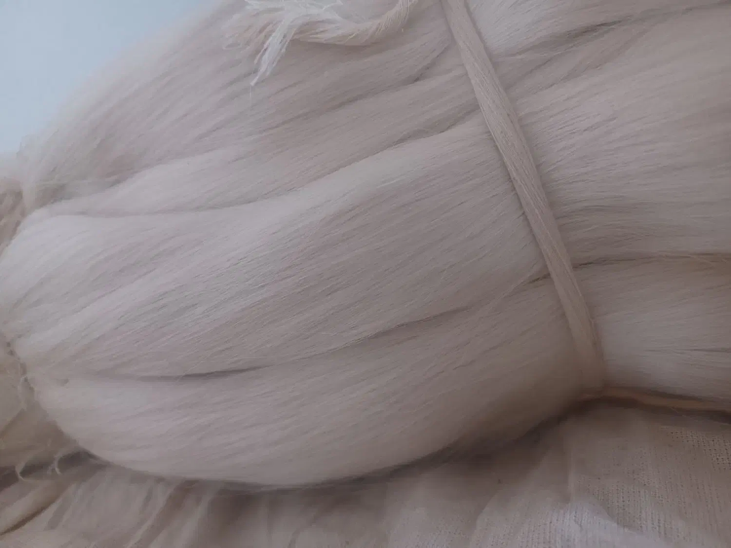 به چند نیرو خانم جهت تکمیل خط تولید نیاز مندیم|استخدام صنعتی، فنی، مهندسی|سنگر, |دیوار