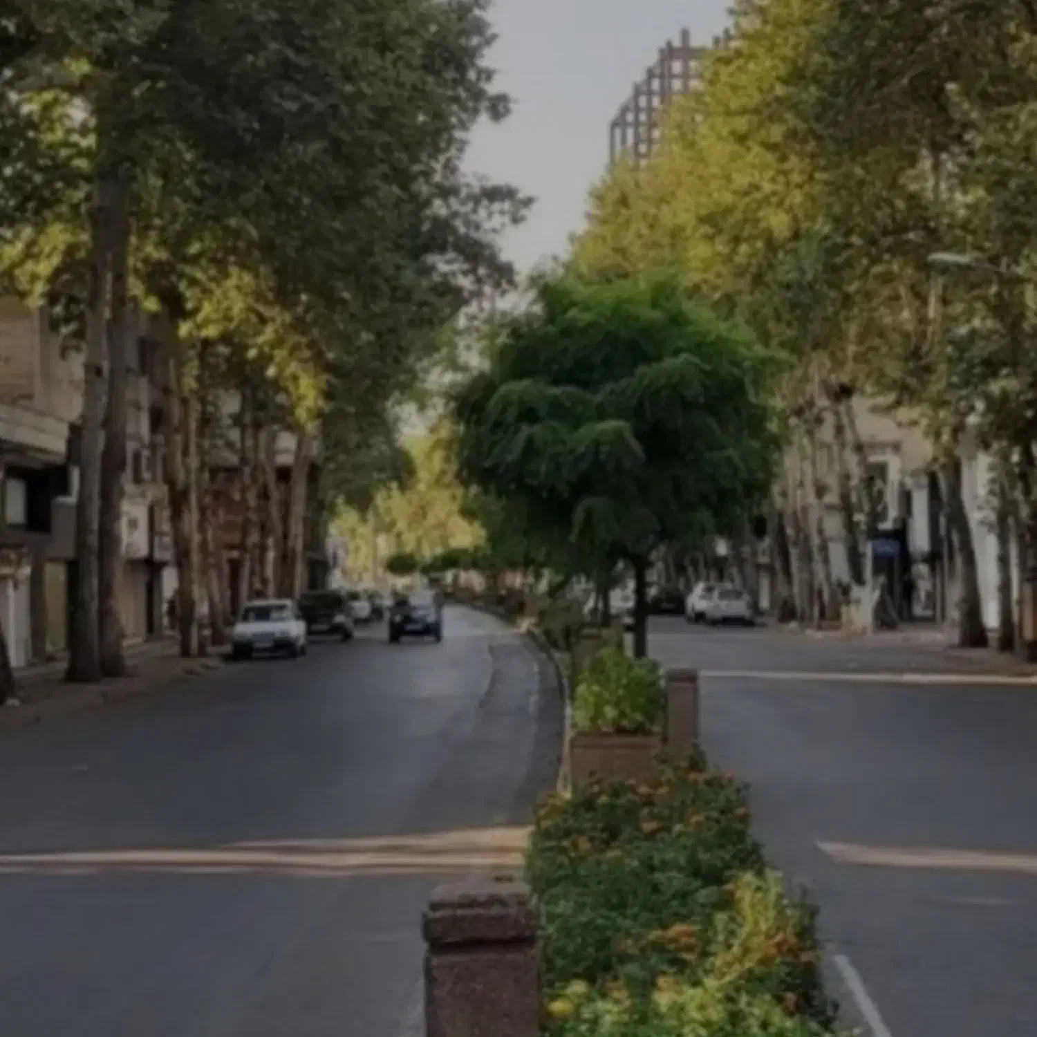 در مجموع ۵۰ متر  کف و بالکن /  براصلی دیلمان|اجارهٔ مغازه و غرفه|رشت, دیلمان|دیوار