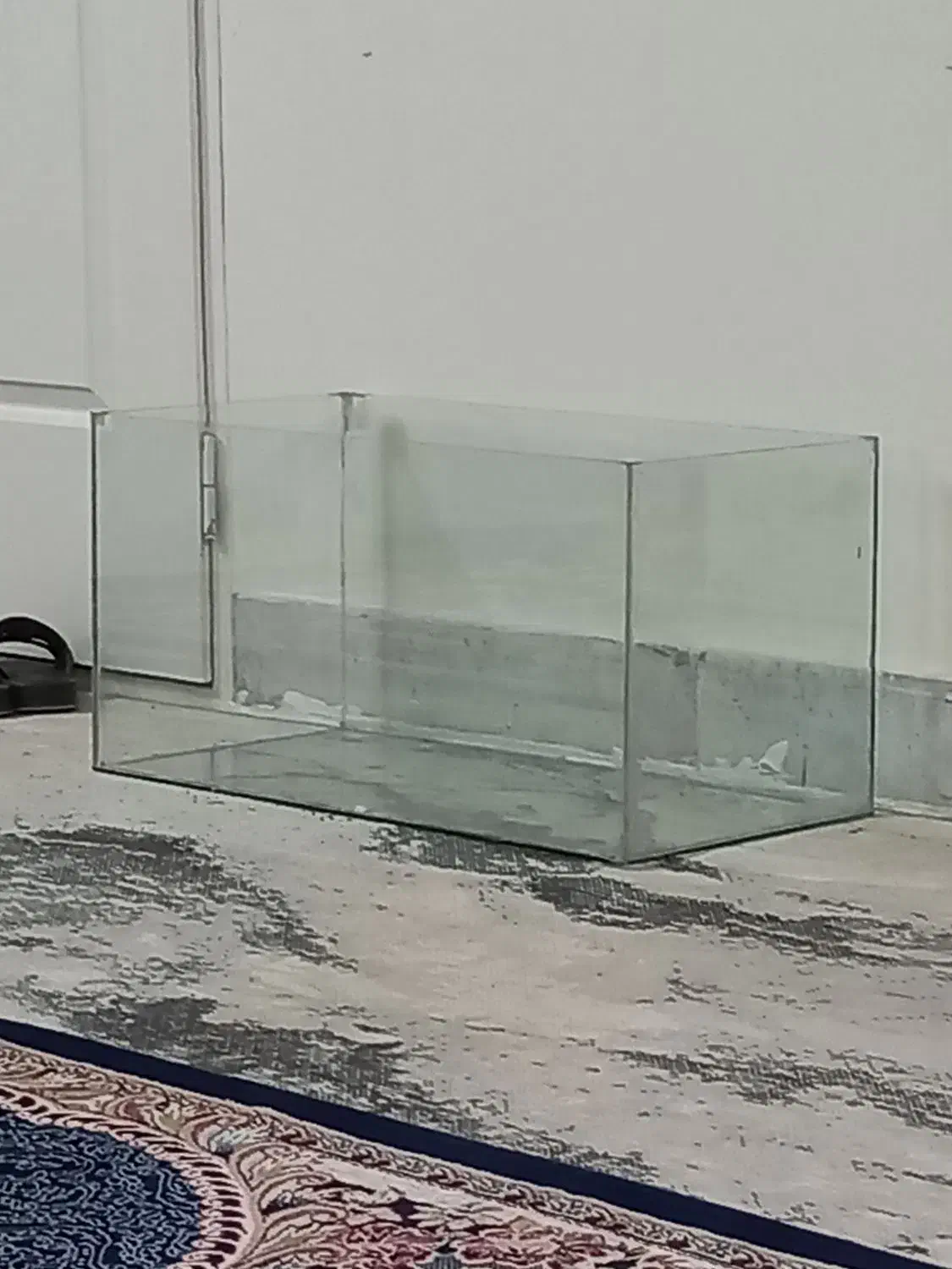 آکواریوم|ماهی|سبزوار, نواب صفوی|دیوار