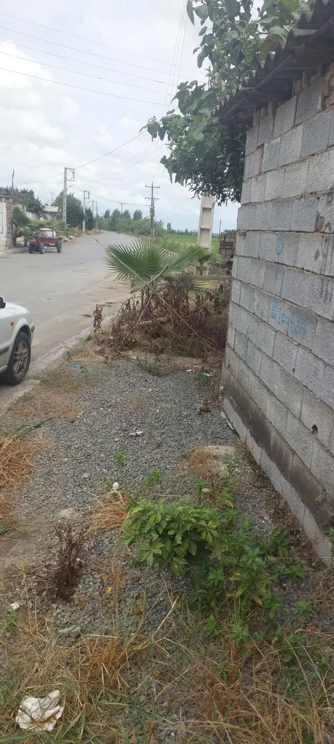 ۶۰۰ متر خونه باغ بافت مسکونی،برجاده محل اسنادمعتبر|فروش خانه و ویلا|فریدون‌کنار, |دیوار