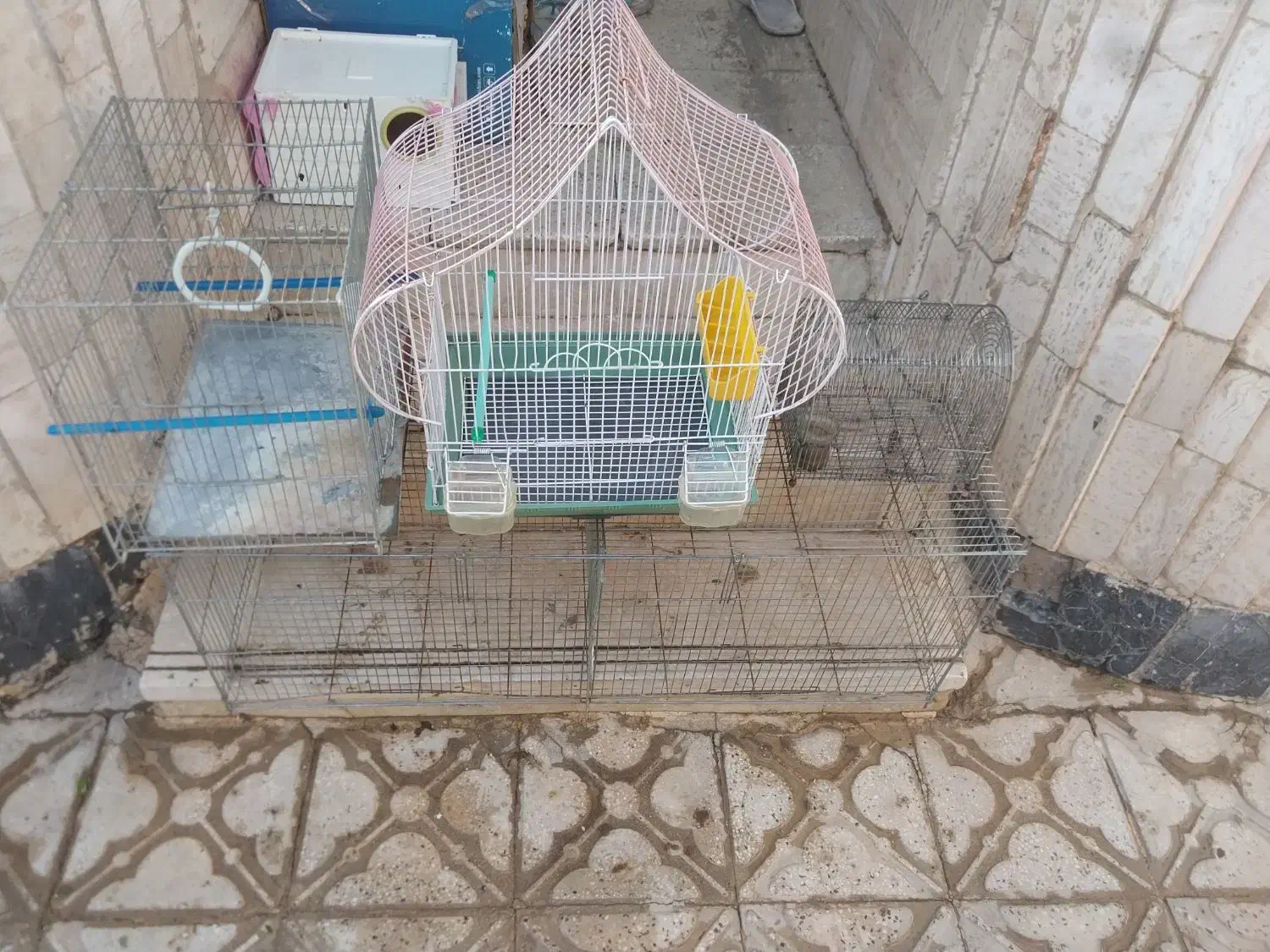 قفس پرنده|لوازم جانبی حیوانات|شیراز, سعدیه شمالی|دیوار