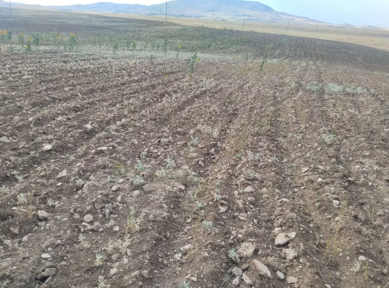 دستگاه سنگ جمع کن|ماشینآلات صنعتی|دهگلان, |دیوار